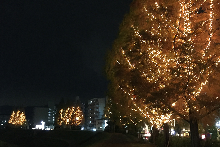 冬には駅前の木がライトアップされます